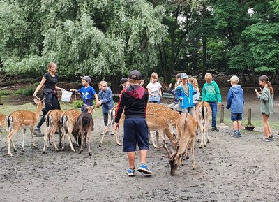 Foto des Albums: Tierparkbesuch Kl. 1a / 1b (12.07.2021)