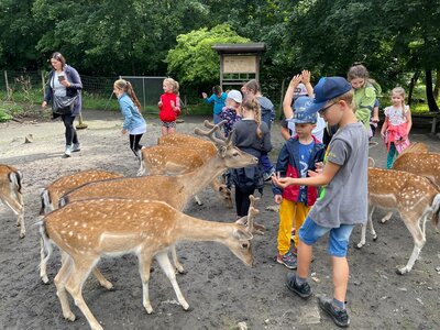 Foto des Albums: Tierparkbesuch Kl. 1a / 1b (12.07.2021)