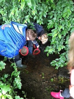 Foto des Albums: Wasserdetektive der Ökoburg (14. 07. 2021)