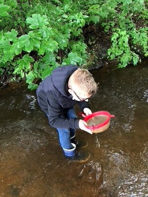 Foto des Albums: Wasserdetektive der Ökoburg (14. 07. 2021)