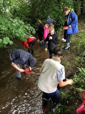 Foto des Albums: Wasserdetektive der Ökoburg (14. 07. 2021)