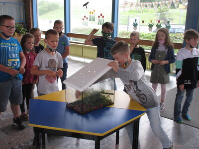 Foto des Albums: Frösche in der Schule (15. 07. 2021)