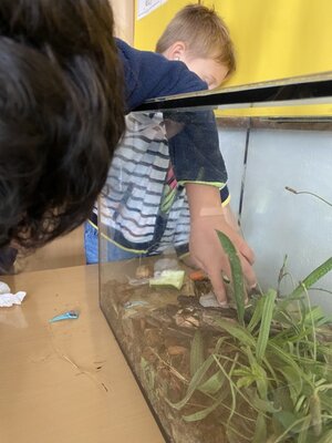 Foto des Albums: Schneckenfieber in der Klasse 1a
