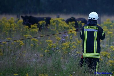 Foto des Albums: Einsatz 21/2021
