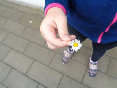 Foto des Albums: Sommerferien 2021 2. Woche