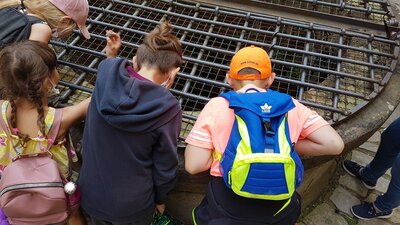 Foto des Albums: Ein schöner Tag in Kronach