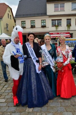 Foto des Albums: 12. Drebkauer Brunnenfest