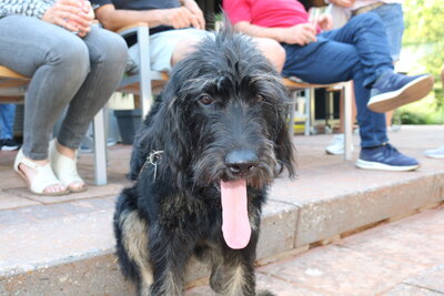 This girl&acute;s called MILKA :-) 