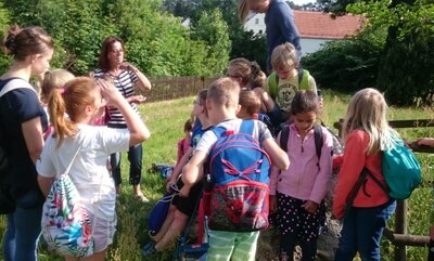 Foto des Albums: Ortsrundgang der Klasse 2a (26. 07. 2021)