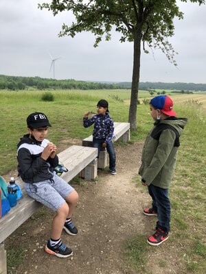 Foto des Albums: Klimawanderung zum Kronsberg (07.06.2021)