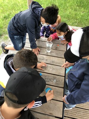 Foto des Albums: Klimawanderung zum Kronsberg (07.06.2021)