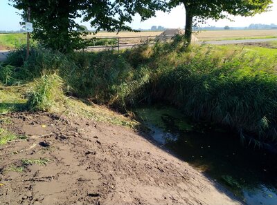 Foto des Albums: Radwegebau am Schulsteig (28.07.2021)