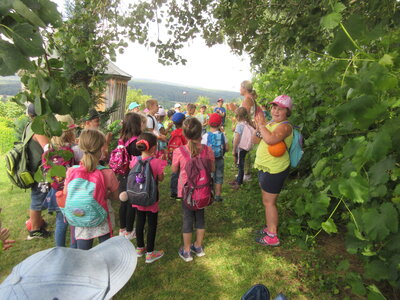 Foto des Albums: Wanderung mit den Vorschulkindern (27. 07. 2021)