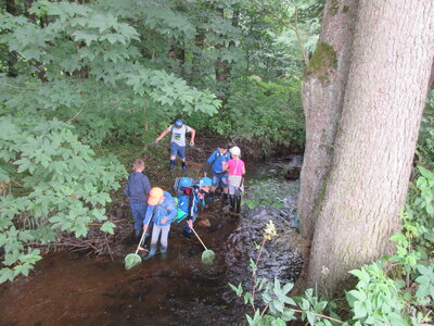 Foto des Albums: Rund um Tröstau - Ausflug mit den Naturparkrangern (28. 07. 2021)