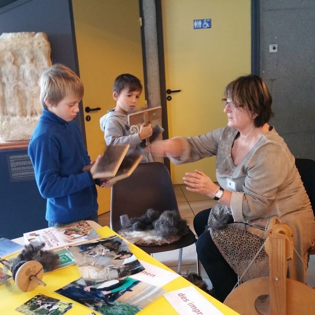 Bild der Galerie