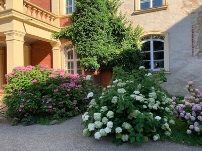 Foto des Albums: Schloss Meyenburg (02. 08. 2021)