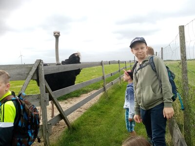 Foto des Albums: Wandertage unserer Schulklassen