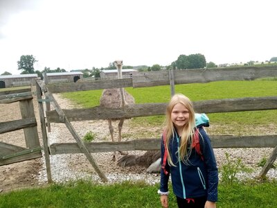 Foto des Albums: Wandertage unserer Schulklassen