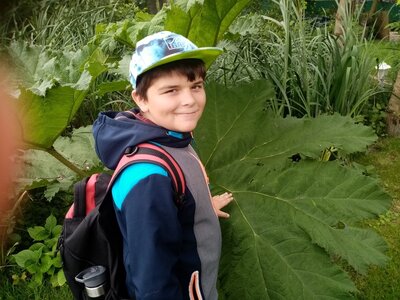 Foto des Albums: Wandertage unserer Schulklassen