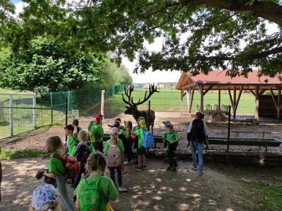 Foto des Albums: Ausflug in den Sonnenlandpark