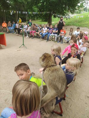 Foto des Albums: Hortabschlussfest