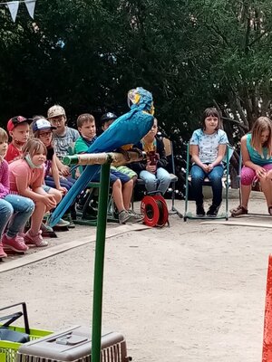 Foto des Albums: Hortabschlussfest