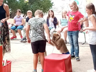 Foto des Albums: Hortabschlussfest