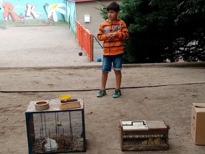 Foto des Albums: Sommerferien 2021