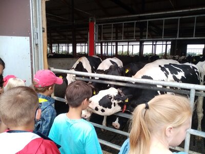 Foto des Albums: Sommerferien 2021
