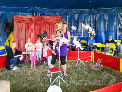 Foto des Albums: Zirkusprojekt in der Kita Hummelburg