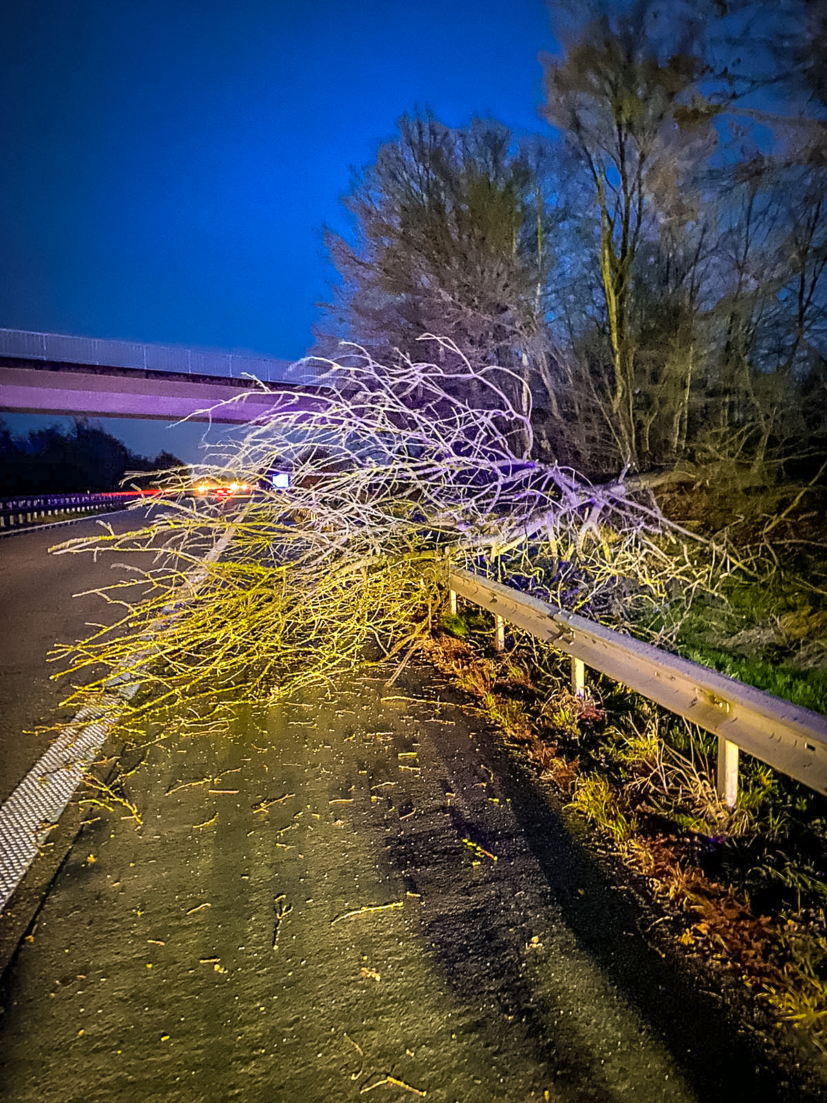 Bild: 190121-H 1-Zwei-mal-Sturmschaden-00002