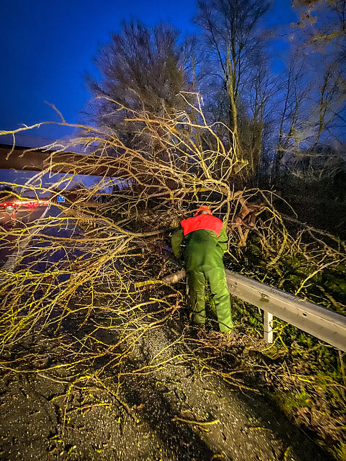 Bild: 190121-H 1-Zwei-mal-Sturmschaden-00004