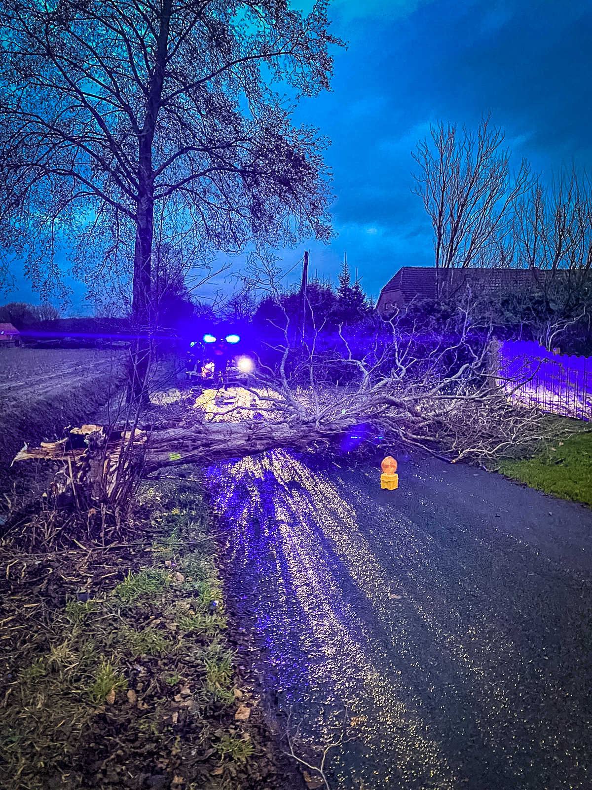 Bild: 190121-H 1-Zwei-mal-Sturmschaden-00005