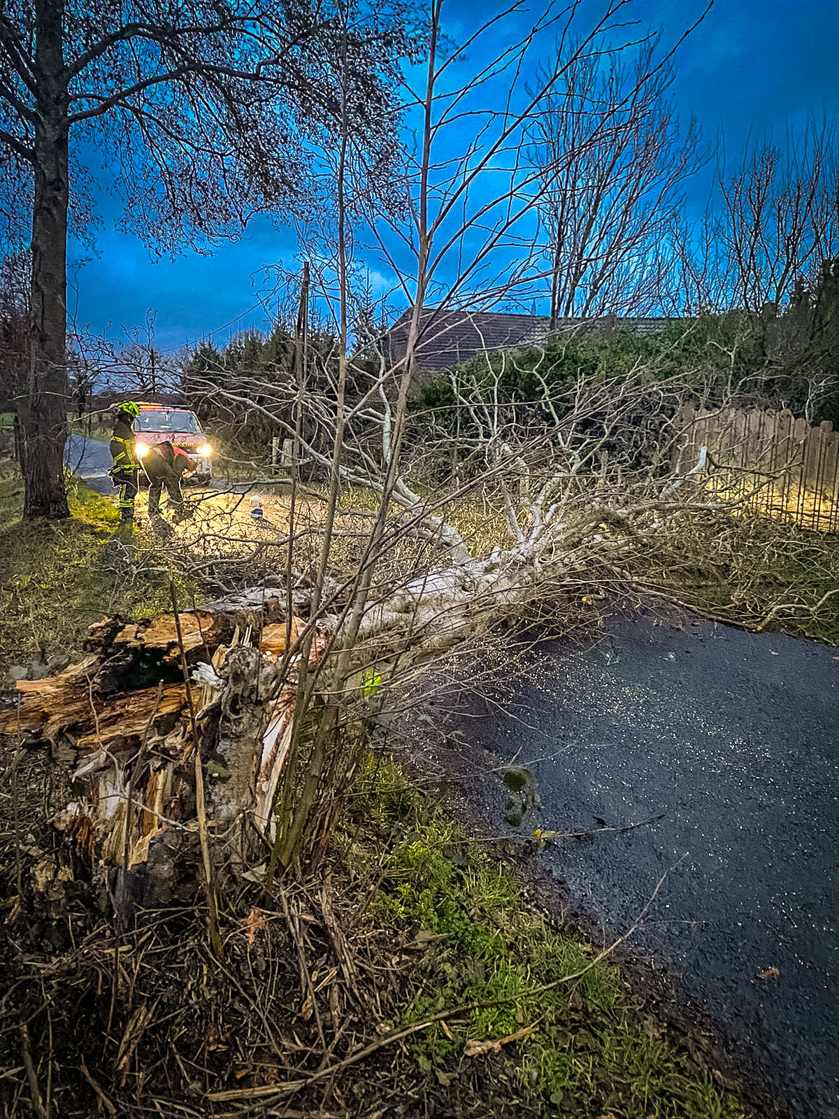 Bild: 190121-H 1-Zwei-mal-Sturmschaden-00006