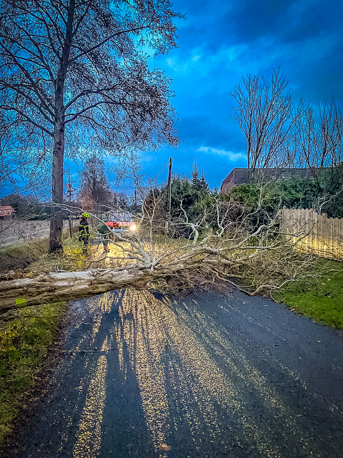 Bild: 190121-H 1-Zwei-mal-Sturmschaden-00007