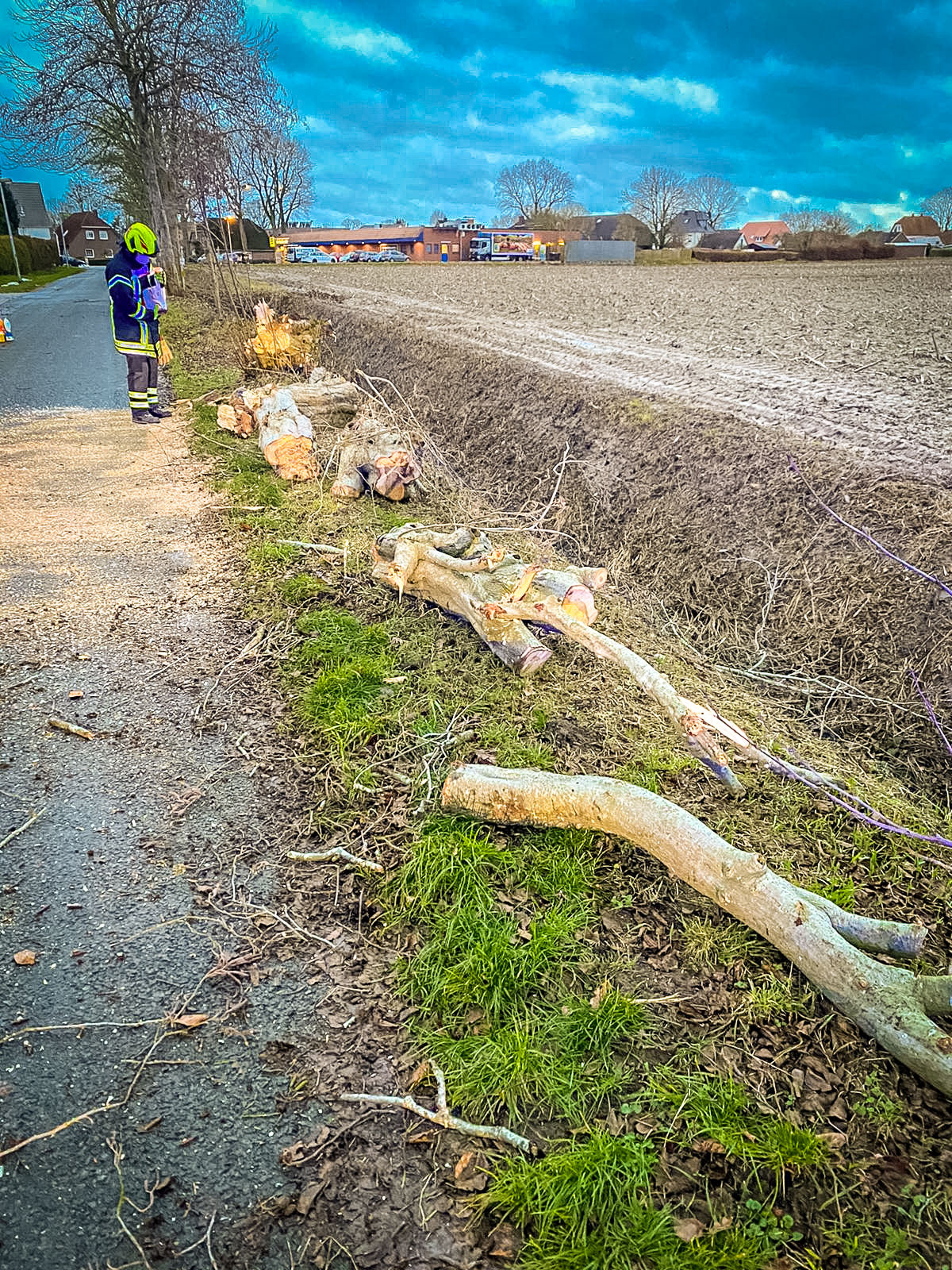 Bild: 190121-H 1-Zwei-mal-Sturmschaden-00008