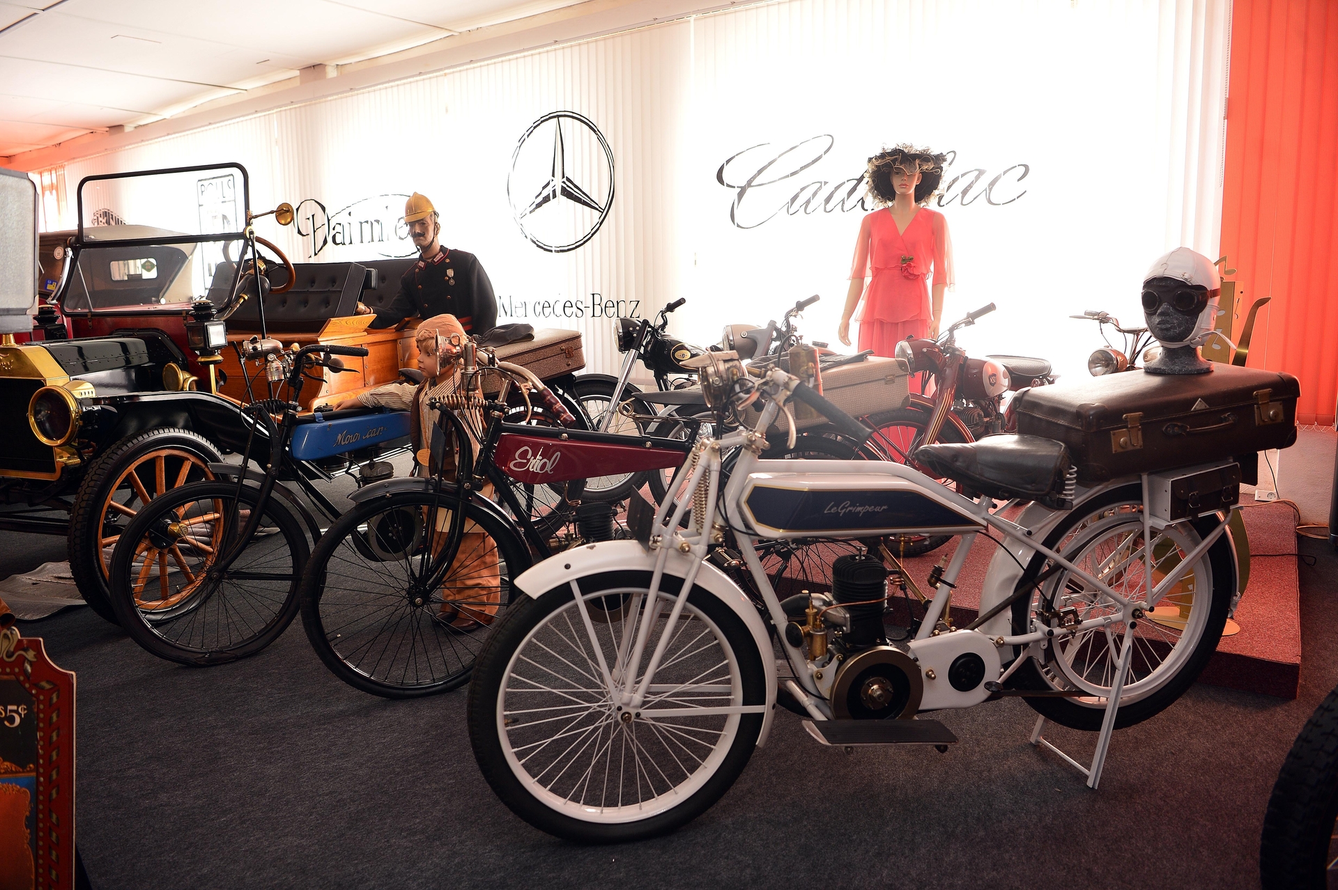 Bild der Galerie