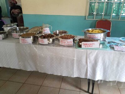 Foto des Albums: Construction of an energy-saving stove in July 2021