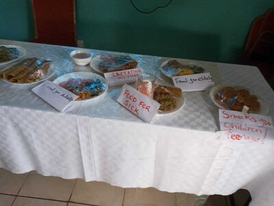 Foto des Albums: Construction of an energy-saving stove in July 2021