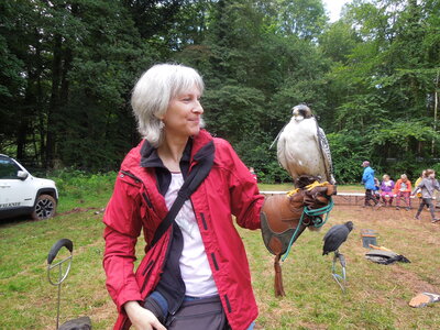 Foto des Albums: Ferienakademie Sommer 2021