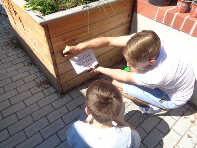 Foto des Albums: Sommerferien 5. Woche