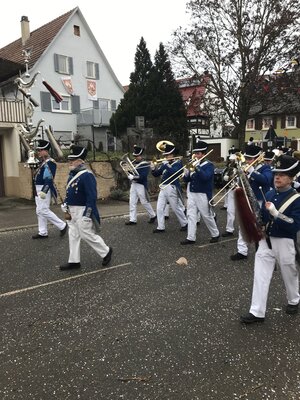 Foto des Albums: Narrentreffen Hirrlingen