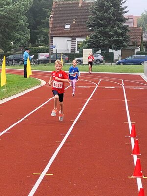 Foto des Albums: Angermünder Sommerlauf, 28.08.2021