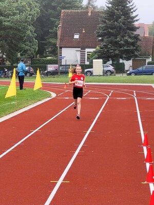 Foto des Albums: Angermünder Sommerlauf, 28.08.2021