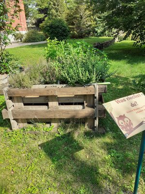 Foto des Albums: Blumenoase