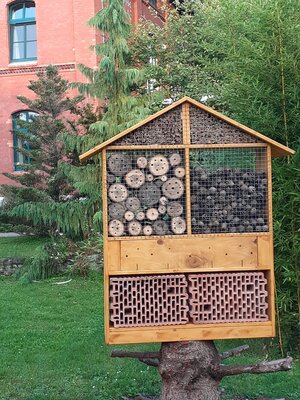 Foto des Albums: Blumenoase