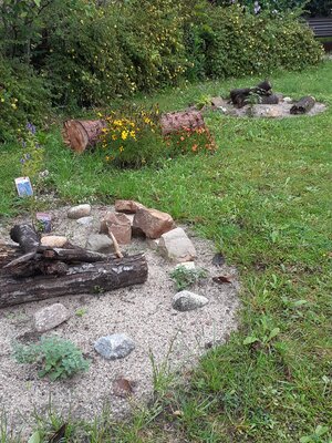 Foto des Albums: Blumenoase