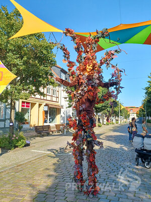 Foto: Heike Fuchs  (Bild vergr&ouml;&szlig;ern)