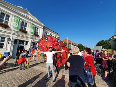 Foto: Heike Fuchs  (Bild vergr&ouml;&szlig;ern)