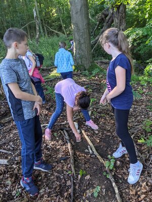 Murmelbahn im Wald - Jahrgang 4 